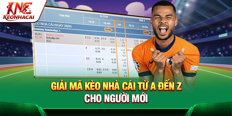 Giải Mã Kèo Nhà Cái Cơ Bản Từ A Đến Z Cho Người Mới